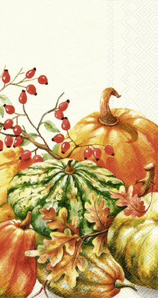 IHR Napkins Calabaza