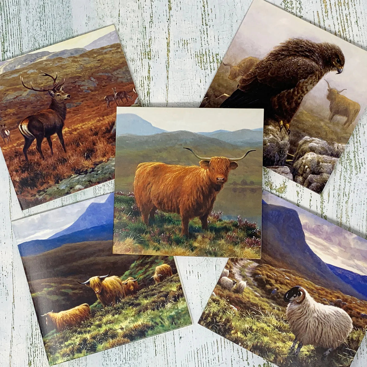 Julian Friers Highland Greeting Card Pack