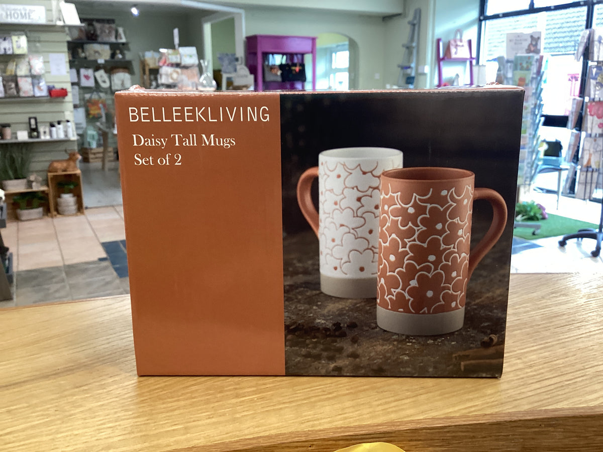 Daisy tall mug x2