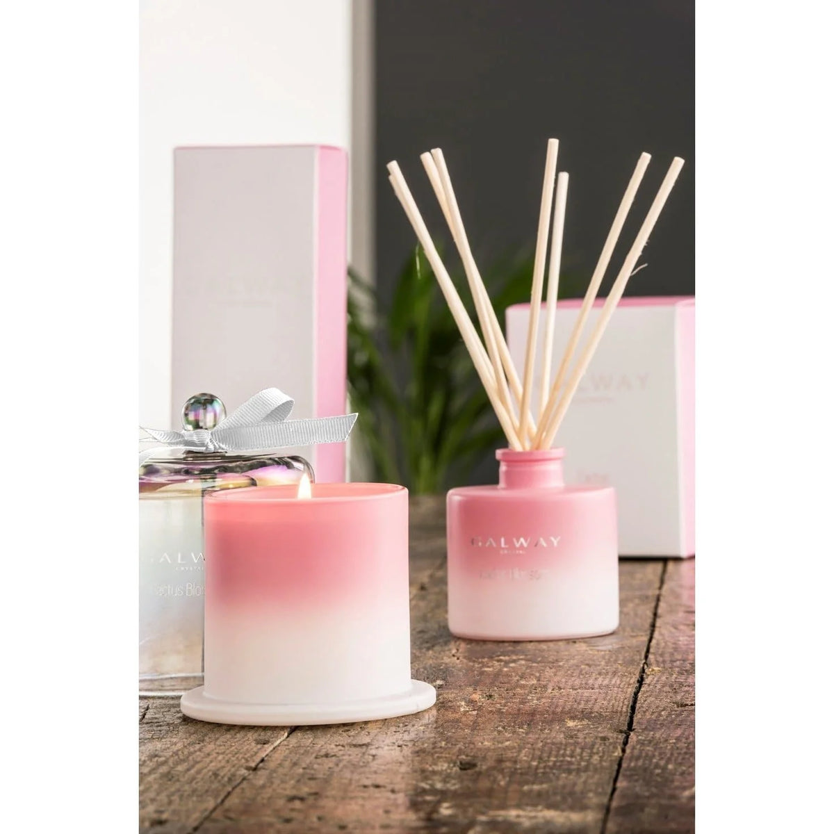 Galway Cactus Blossom Candle