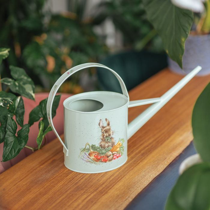 Wrendale ‘Sleeping On The Job’ Indoor Watering Can