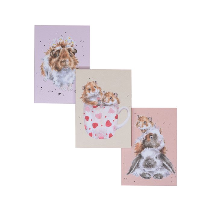 Wrendale ‘Whiskers And Paws’ Guinea Pig & Hamster Set Of 3 Notbooks