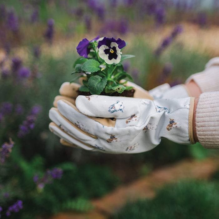Wrendale ‘Bee’ Garden Gloves