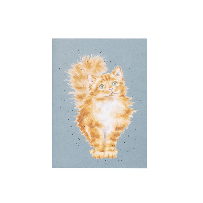 Wrendale ‘Just Purrr-fect’ Cat A6 Notebook