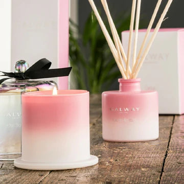 Galway Crystal Cactus Blossom Diffuser