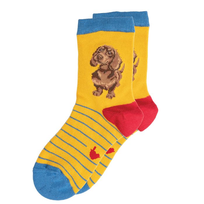 Wrendale ‘Little One’ Dachshund Children’s Socks Size UK 6-8 1/2