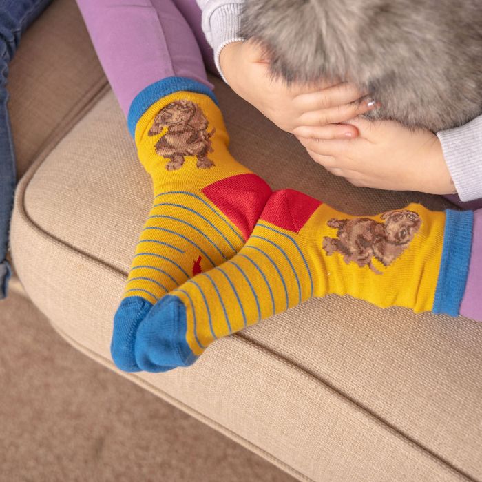 Wrendale ‘Little One’ Dachshund Children’s Socks Size UK 6-8 1/2