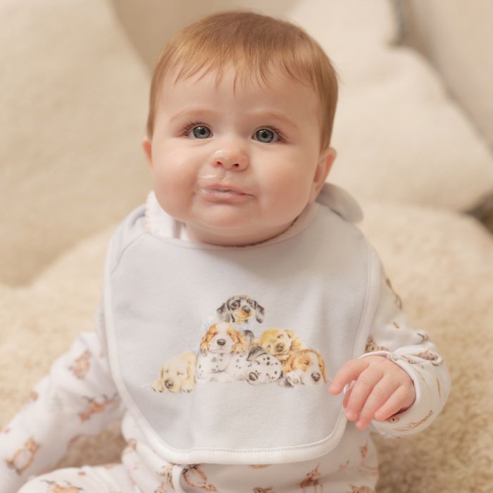 Wrendale 'Little Paws' Dog Bib Gift Set