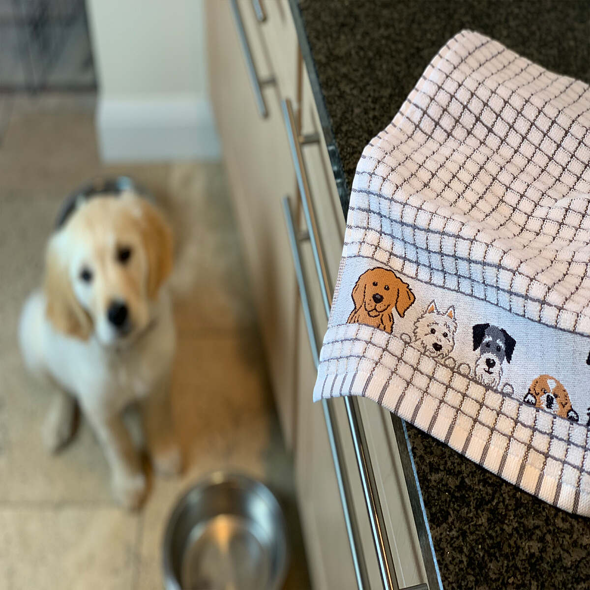 Samuel Lamont Charcoal Dogs Set Of 2 Poli-dri