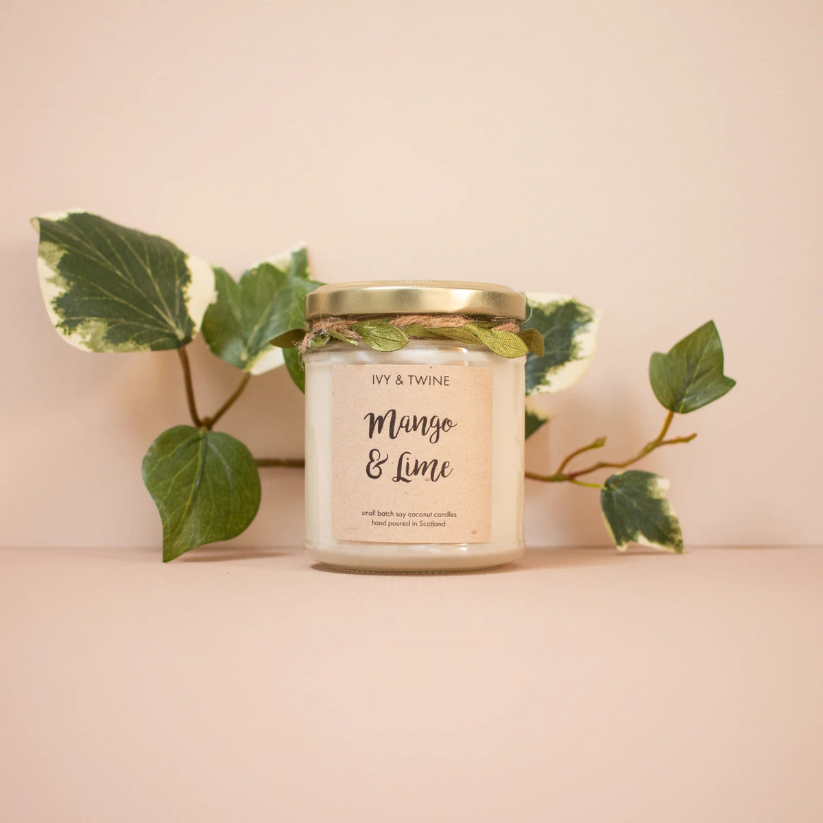 Ivy & Twine Mango & Lime 190g Candle