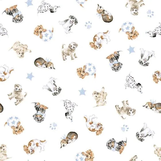 Wrendale ‘Little Wren’ Boys Little Paws Babygrow