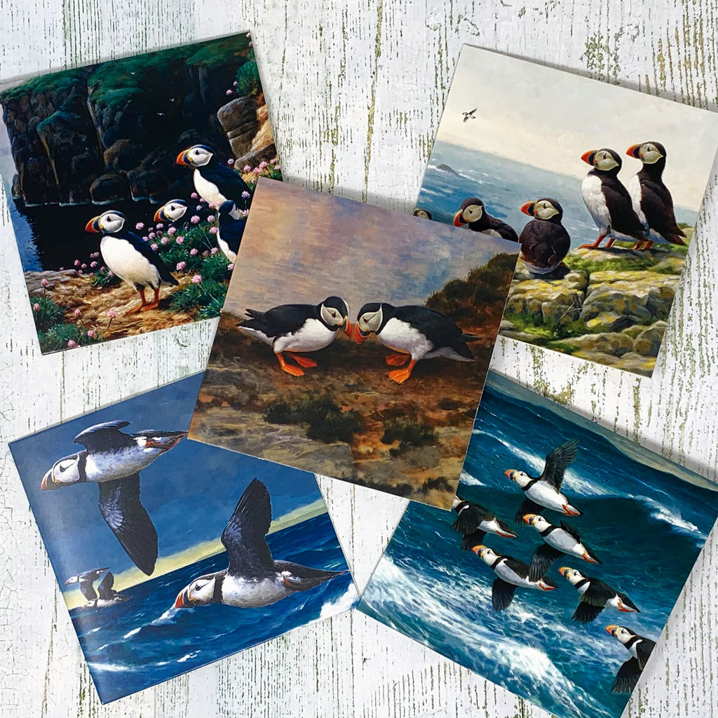 Julian Friers Puffin Greeting Card Pack
