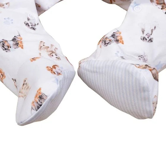 Wrendale ‘Little Wren’ Boys Little Paws Babygrow