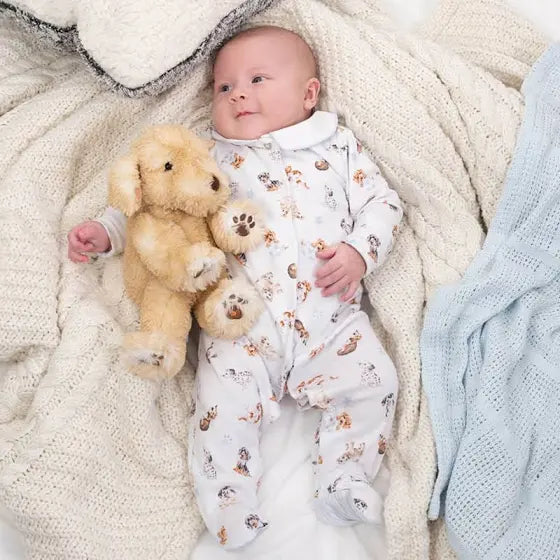 Wrendale ‘Little Wren’ Boys Little Paws Babygrow