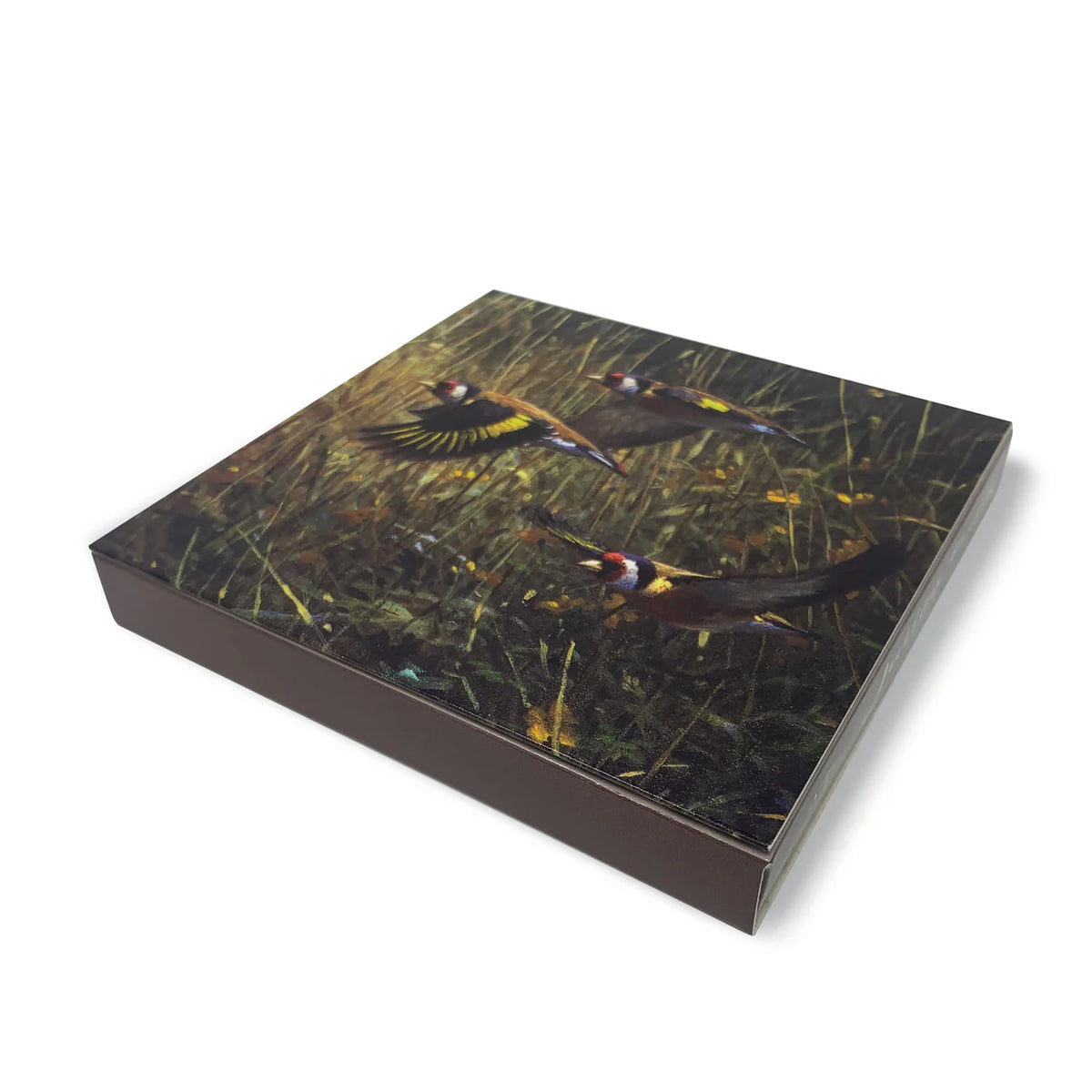 Julian Friers Songbirds Card Pack