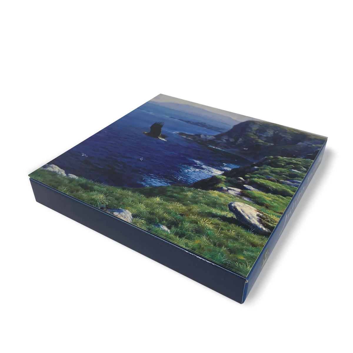 Julian Friers Birds of Prey Card Pack