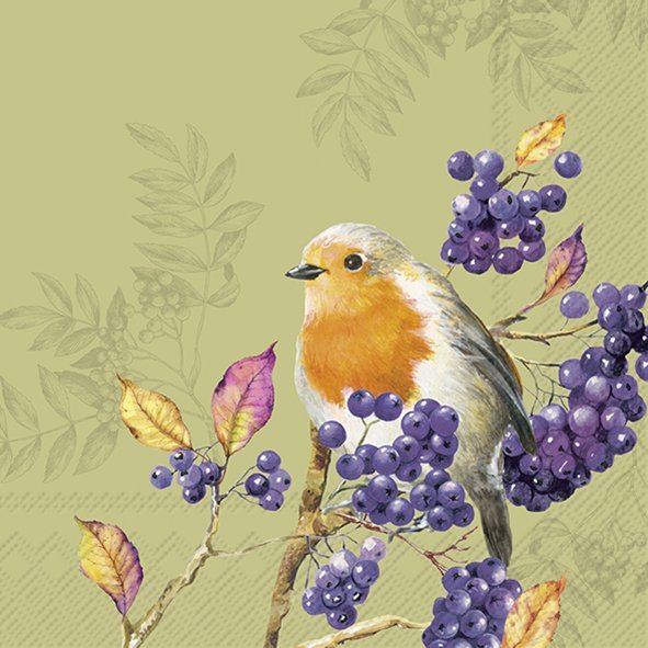 IHR Napkins Bird Life Green