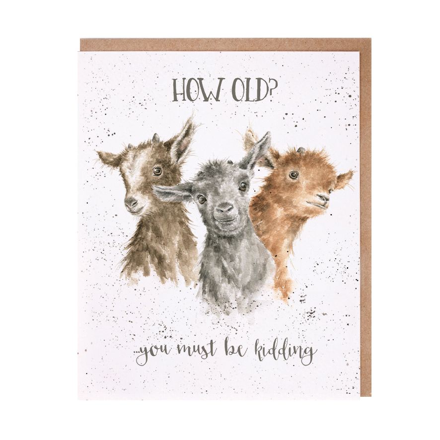 Wrendale ‘How Old?… You Must Be Kidding’ Card