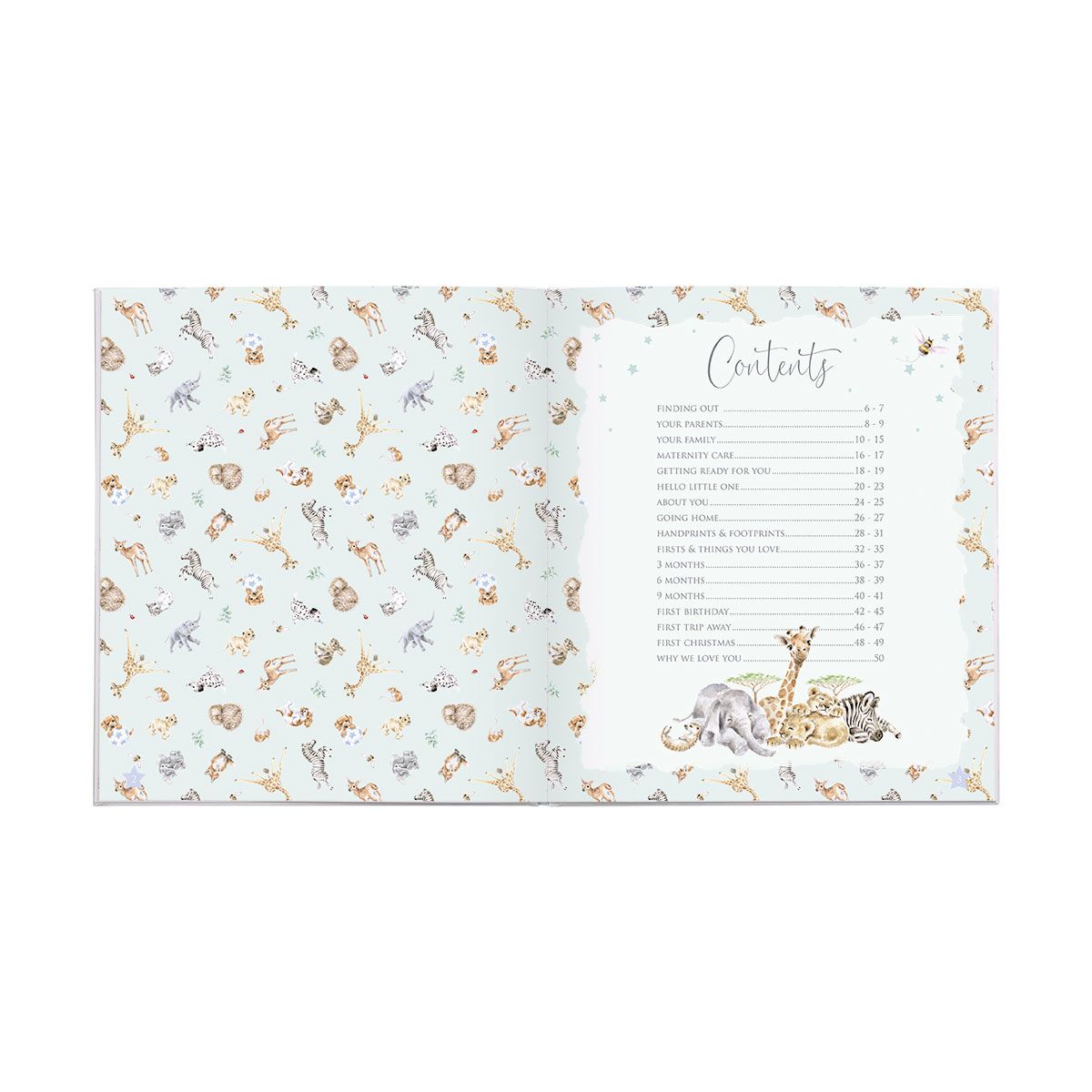Wrendale 'Little Wren' Baby Record Book