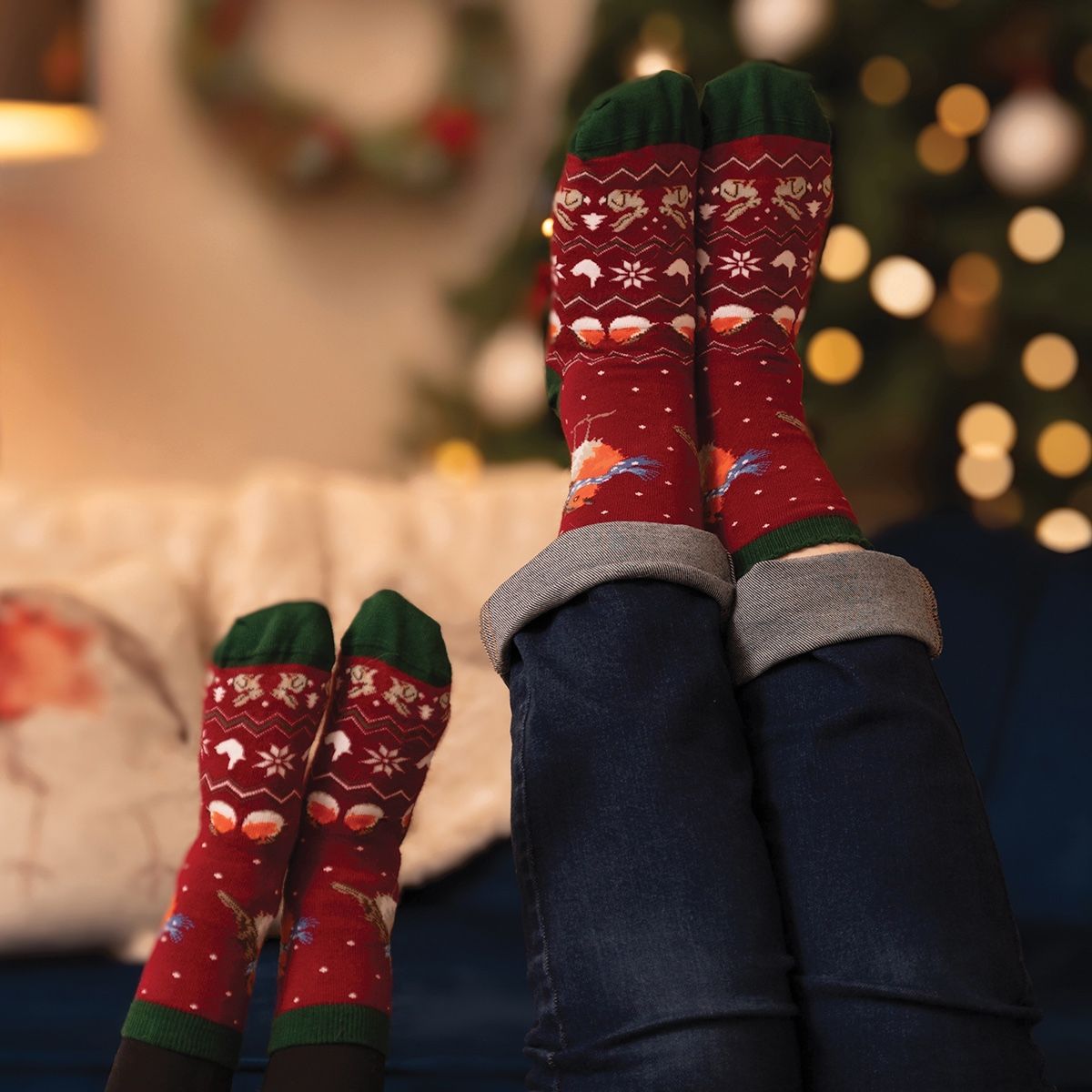 Wrendale 'Season's Tweetings' Robin Men's Socks